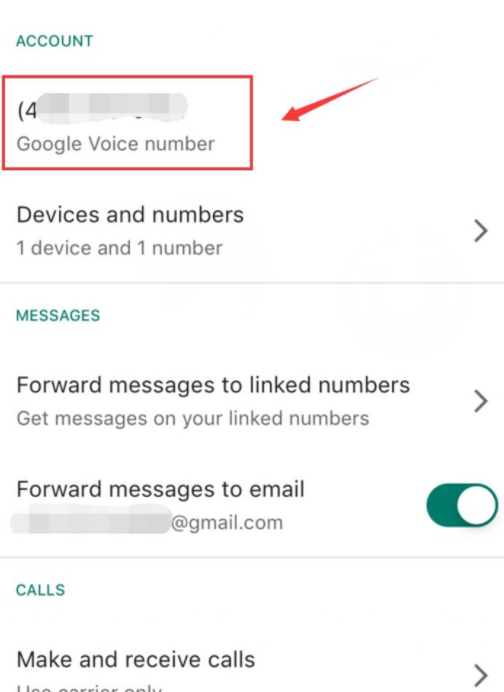 google voice login as private number